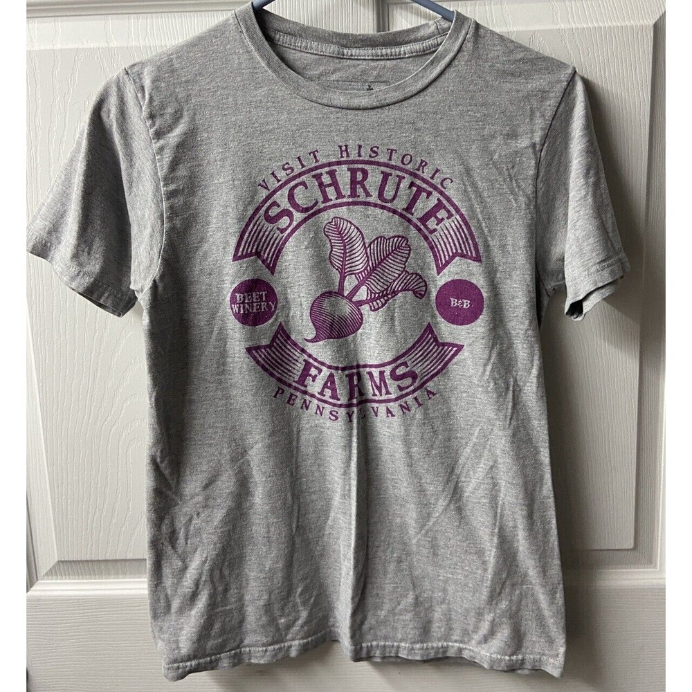 Dundler Mifflin The Office T Shirt Size S Gray Crew Neck Schrute Farms Graphic